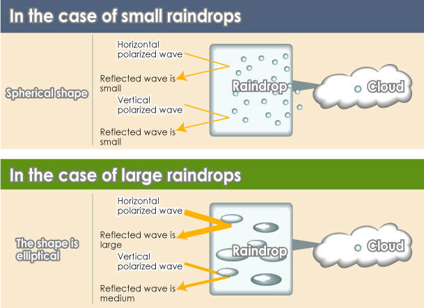 Detecting the shape of a raindrop with polarized waves The shape of raindrops can be determined by using a polarized wave.