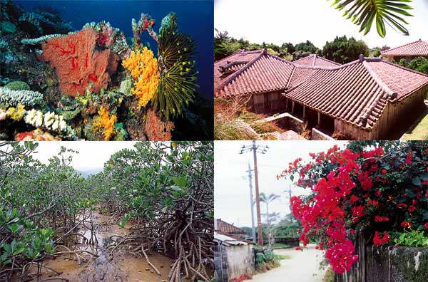 Okinawan culture and vegetation nurtured by a subtropical climate